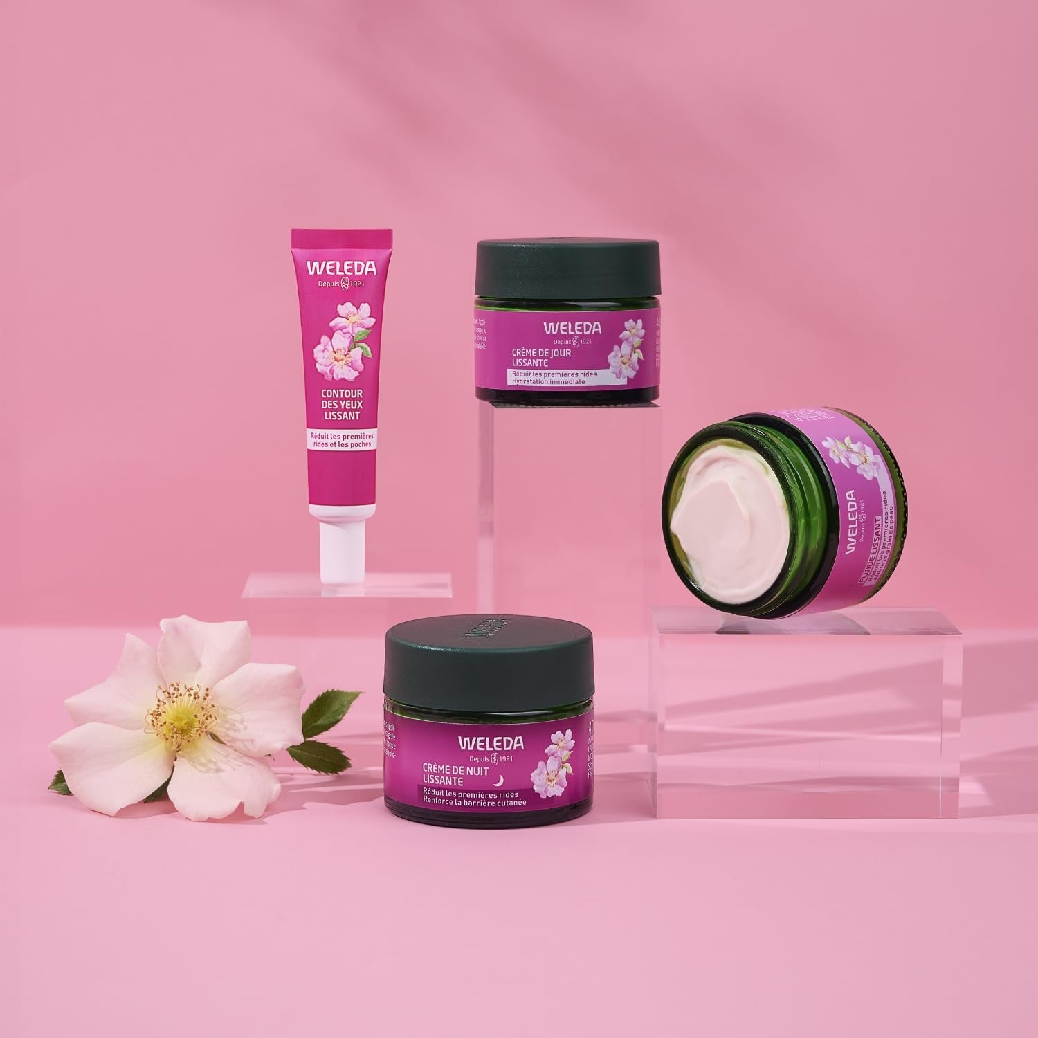 Crème De Nuit Lissante Rose Musquée & Thé Blanc – Soin Anti‑Âge Premières Rides, Crème Visage De Nuit, Huile De Rose Musquée Bio, Thé Blanc Antioxydant Vitamine C, Non Comédogène, NATRUE, 40Ml